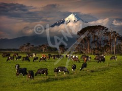 NEW ZEALAND Mount Taranaki